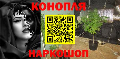 стафф Краснодар