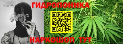 стафф Краснодар