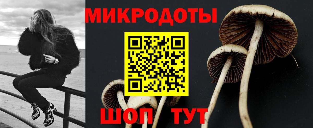 Казань  Псилоцибиновые грибы Psilocybine cubensis  Вход с VPN 