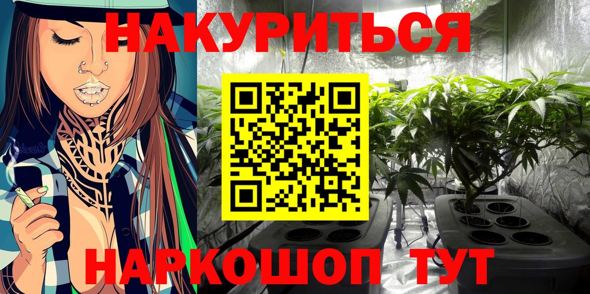Бошки марихуана ГИДРОПОН  Шишки марихуана планчик  Бошки Шишки семена  Казань  Вход с VPN 